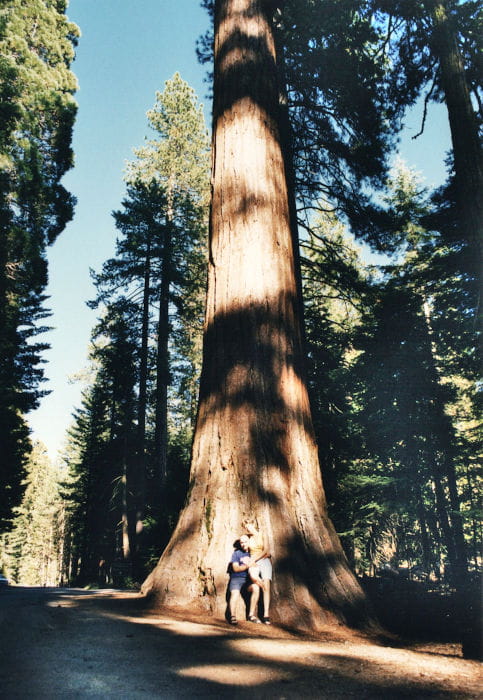 Sequoia & Kings National Park 2