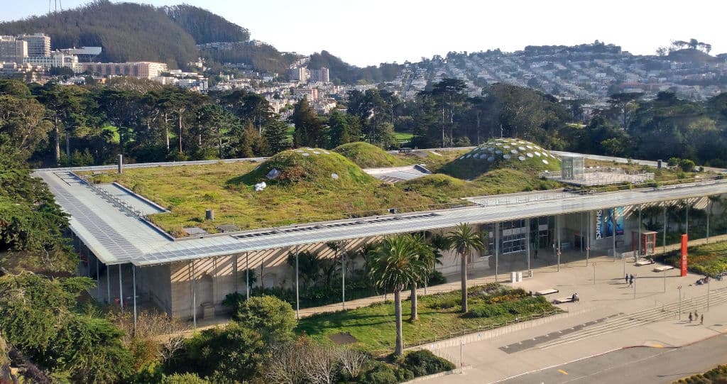 California_Academy_of_Sciences San_Francisco